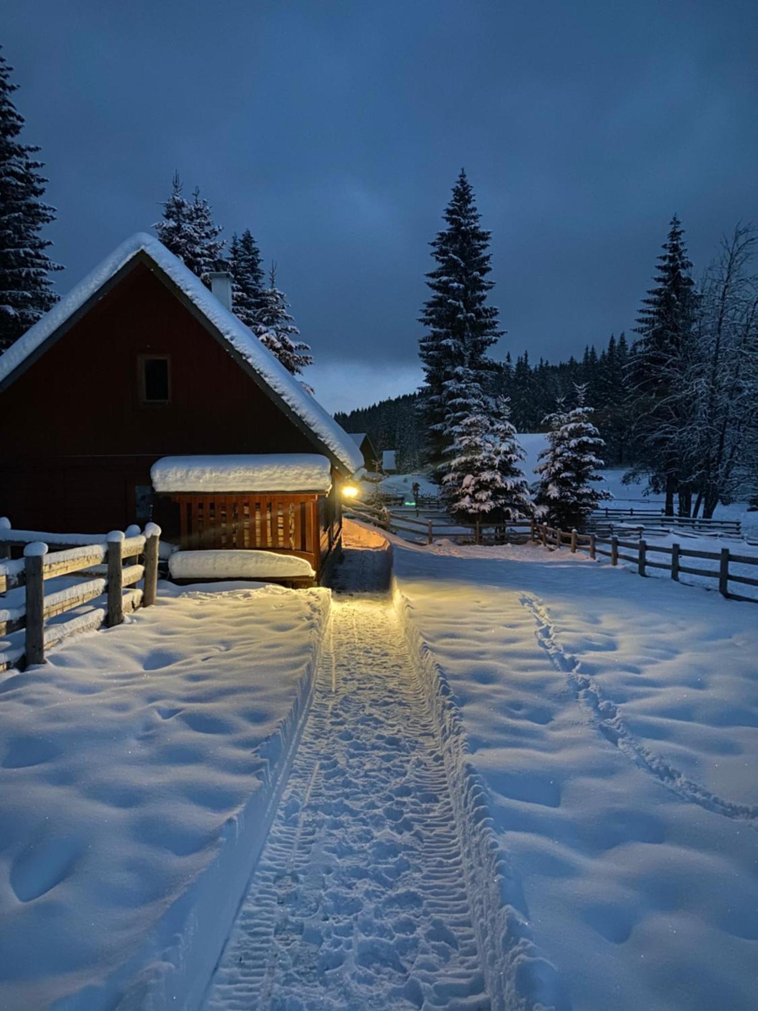 Cosy Chalet On Pokljuka - Brunarica Tinkara Zgornje Gorje Exteriér fotografie