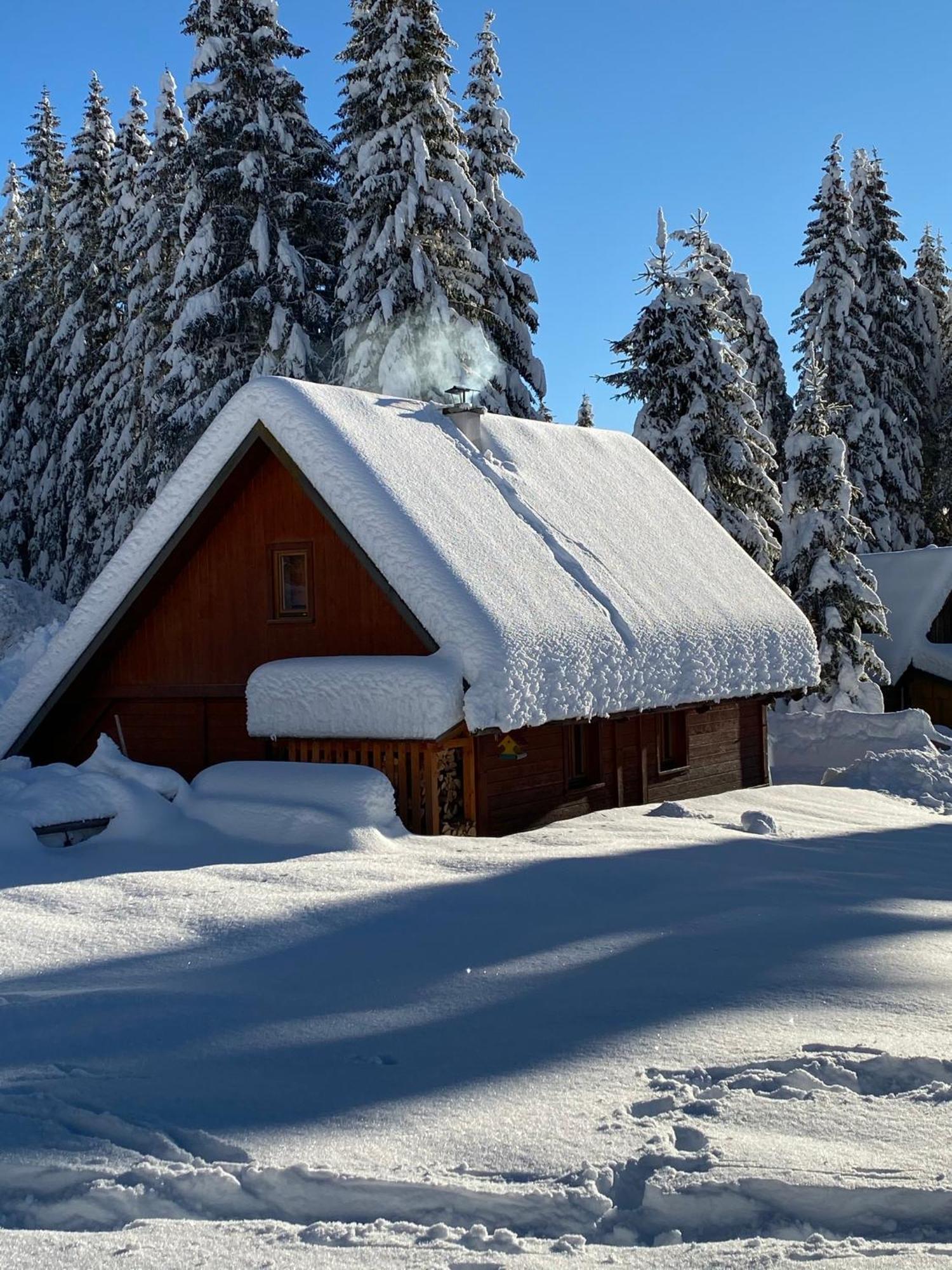 Cosy Chalet On Pokljuka - Brunarica Tinkara Zgornje Gorje Exteriér fotografie